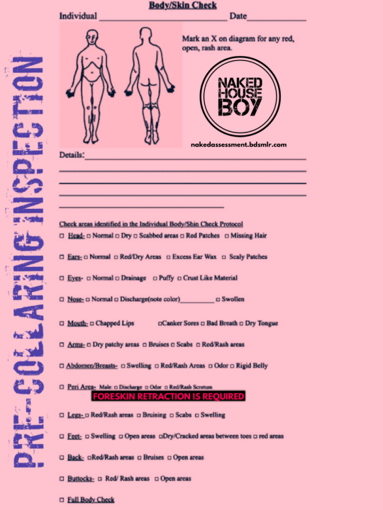 Skin Check Sheet