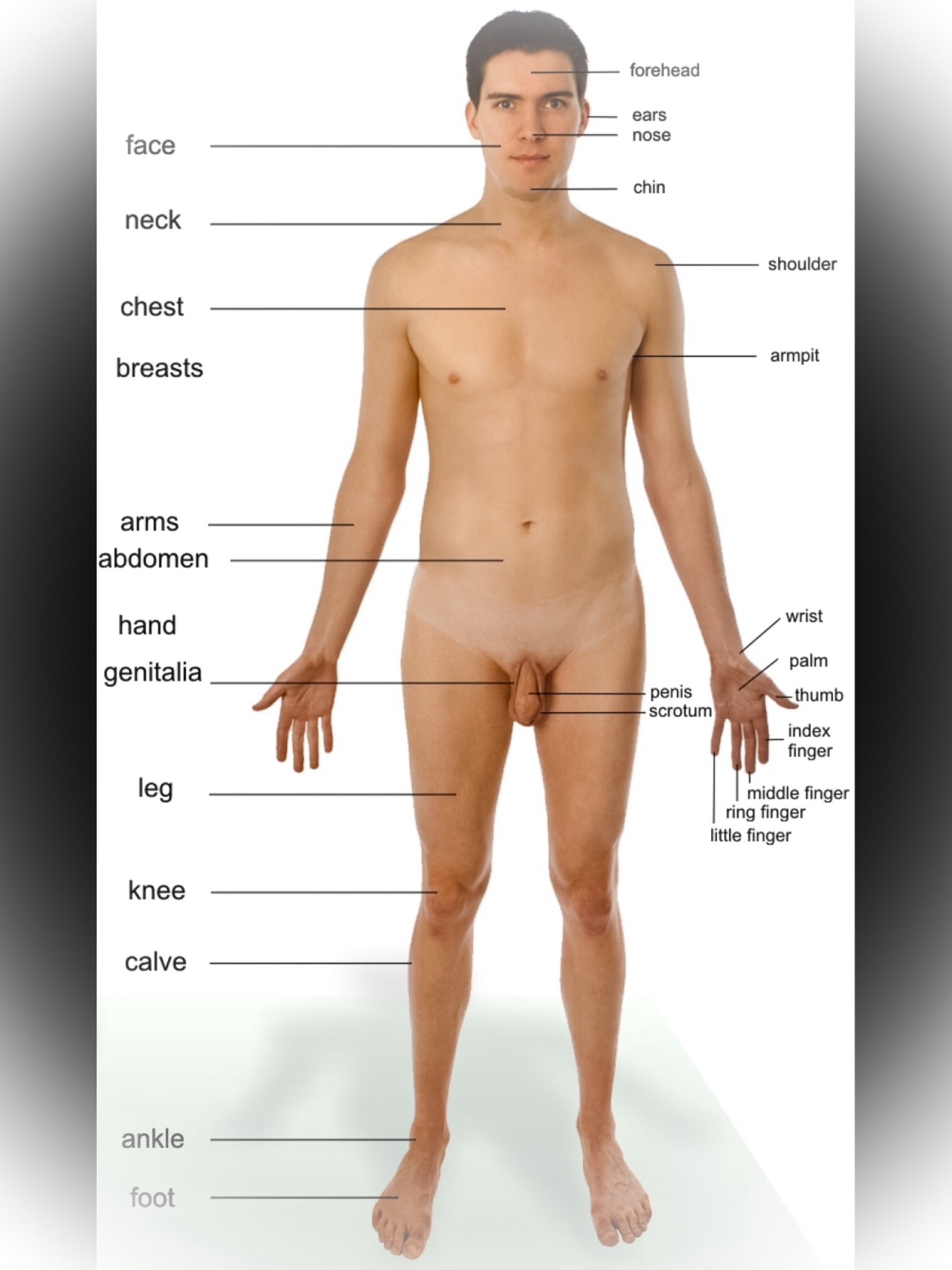 Male Appropriate Terminology