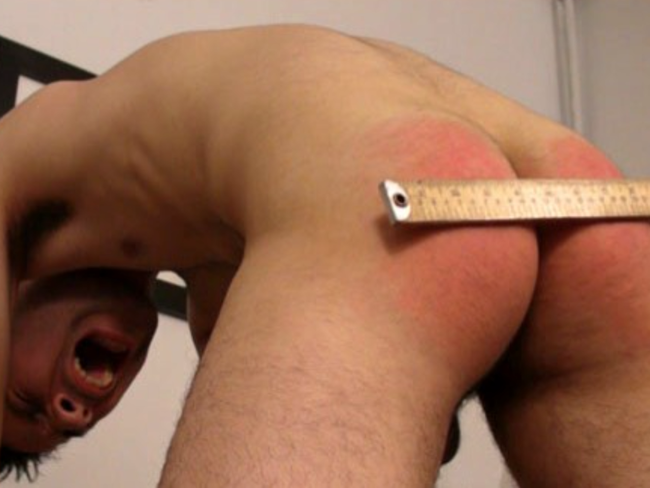 Measuring Stick