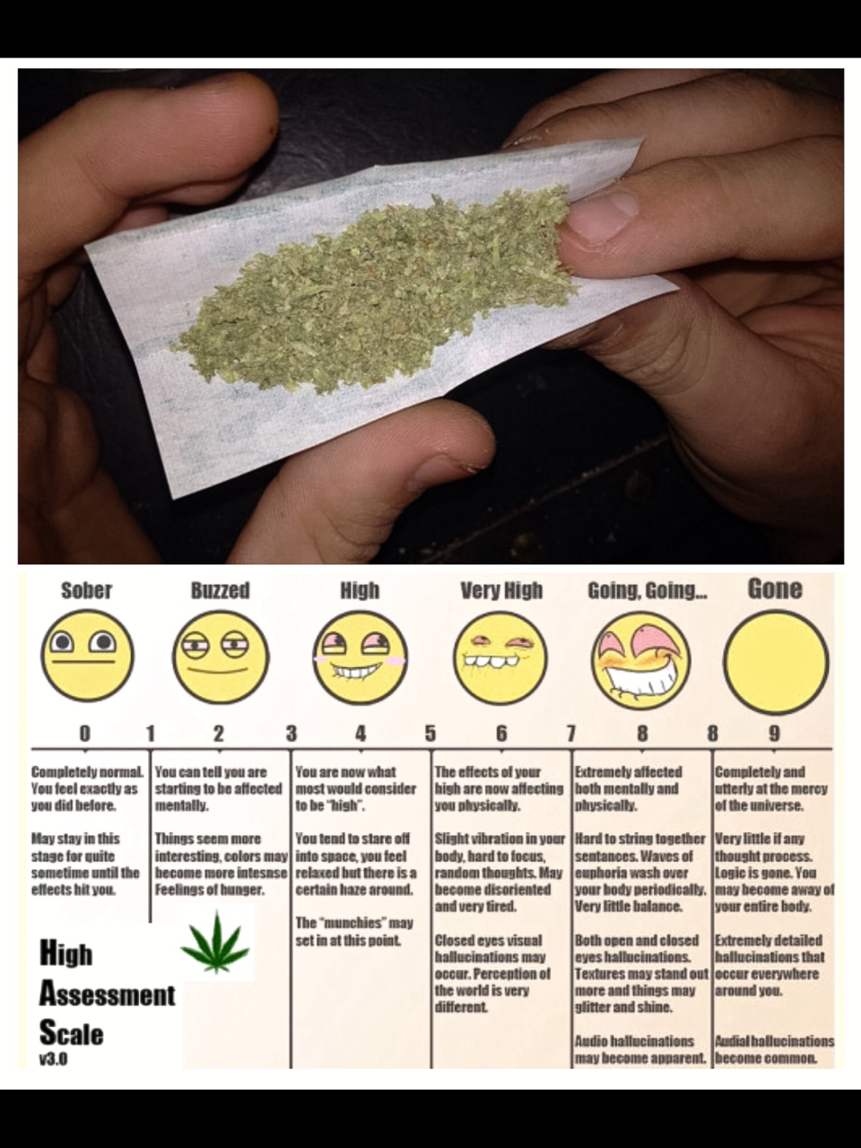 Marijuana